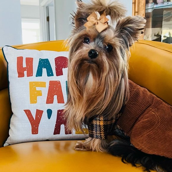 Pet Dress Dog or Cat Corduroy Brown xs ea. New w/ Tag! - Picture 3 of 8